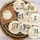 thumbnail image 5 of Baby Shower Wooden Sign, Newborn Announcement Card, Round Month Sign, Customizable Photo Prop, Baby Arrival Decor, Foldable Wooden Stand, Wooden Base, For Home Photography, 5 of 7