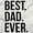 White, variant on Best Dad Ever Fathers Day Gift Men's Big & Tall Graphic Hoodie Brisco Brands 2X