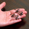 thumbnail image 4 of Nipplerings Perçage Femmes 14G 1 1/2 Pouces Acier Inoxydable Squelette Cœur 2 Pcs Anneau de Mamelon 38mm, 4 of 5