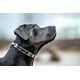 thumbnail image 3 of Sprenger Collar De Adiestramiento Para Perros Con Púas 68 Cm, 3 of 4