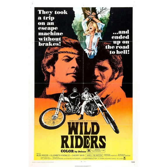 Wild Riders Movie Poster 16x24 Poster Medium Art Poster 16x24 Unframed, Age: Adults, Rectangle Western Graphic