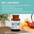 thumbnail image 3 of Suplemento Himalaya Ashwagandha+ Relax 540 mg 60 cápsulas, 3 of 7