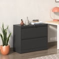 thumbnail image 4 of 2-Drawer Locking Filing Cabinet / Secure and Stylish Office Furniture, 4 of 7