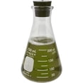 thumbnail image 4 of Pyrex #4980-PACK(RS), Narrow Mouth Erlenmeyer Flask Set with Rubber Stoppers, 5 Sizes - 50, 125, 250, 500, 1000ml, 4 of 6