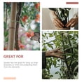 thumbnail image 3 of WHAMVOX Accesorio De Cable Para Sujetar Plantas Con Ajuste Personalizable En Jardinería, 3 of 8