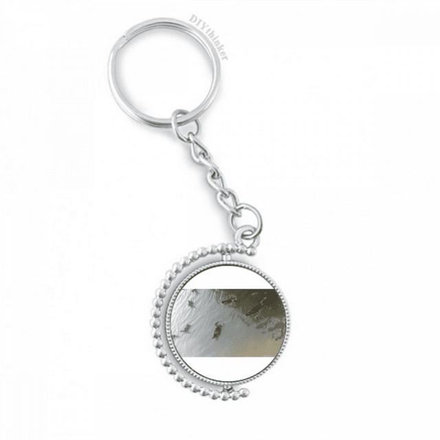 Dispersé Oie art Déco Mode Porte-Clés Rotatif Accessoires Chaîne clip