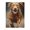 500 Pieces, variant on Dog Jump Mud Water Splash Fun 500-Piece Wooden Jigsaw Puzzle for Adults, Fun & Challenging Family Game, Stylish Wall Decor & Holiday Gift