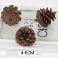 thumbnail image 4 of de Pino Herramientas para Vacaciones,Bodas,Fiestas,Cumpleaños,Día de Acción de Gracias Cono de pino natural Macarena Decoración de cono de pino, 4 of 6