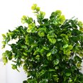 thumbnail image 5 of Husfou 24” Artificial Eucalyptus Plant in Green Plastic Planter (2 Count), 5 of 7