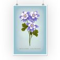 thumbnail image 2 of Boulder, Colorado, Vintage Flora, Rocky Mountain Columbine, State Series (12x18 Wall Art Poster, Room Decor), 2 of 3