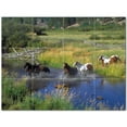 thumbnail image 1 of Horse Ceramic Tile Mural Kitchen Backsplash Bathroom Shower 402907-L43, 1 of 3
