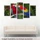 thumbnail image 2 of Cuadro decorativo Cuadros Abigail Guacamayas 5 piezas moderno, 2 of 5