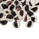 thumbnail image 3 of 100 Unids Marbles Juguete Juguete Mármol Ejecutar Juegos Fish 16mm Yotijar Marbles Ball Toy, 3 of 8