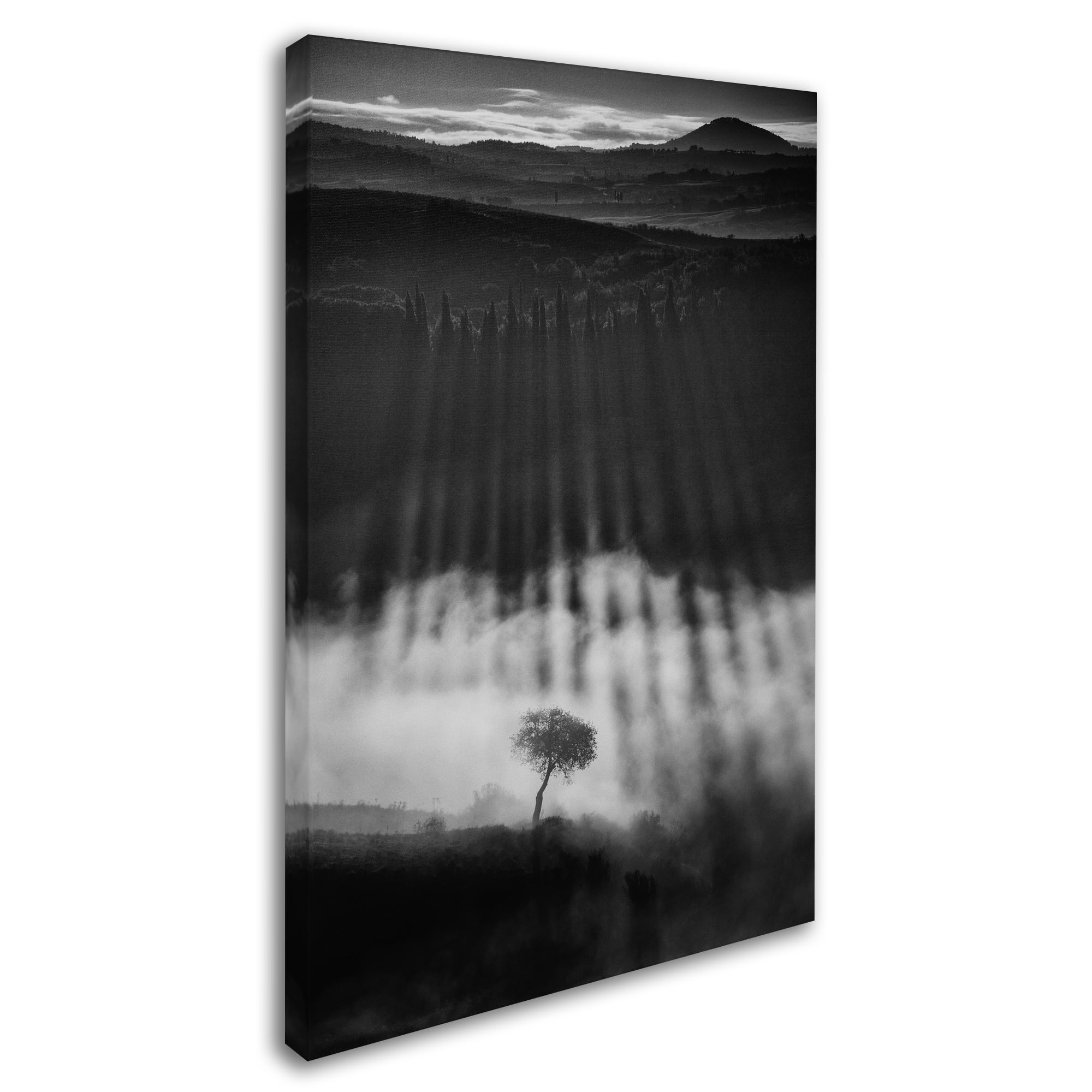 Peter Svoboda 'Rising Up' Canvas Art