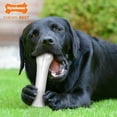 thumbnail image 3 of Nylabone Long Lasting Durable Chew Chicken Dog Toy, 3 of 7