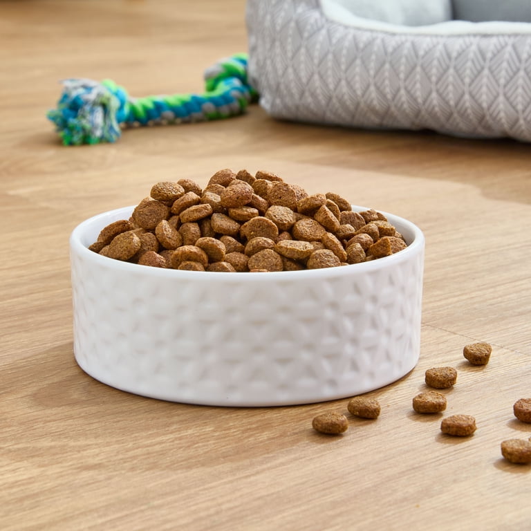 agway wellness dog food Wellness Complete Health Natural Small Breed Adult Turkey and Oatmeal  Recipe Dry Dog Food main image 1