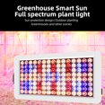 thumbnail image 2 of Zootealy Full Spectrum Plant Light with Intelligent Remote Control and Timer - High Efficiency, Low Light Decay, Leak-proof - Perfect for Indoor Flower, Grass, and Succulent Growth - US/EU Plug, 2 of 6