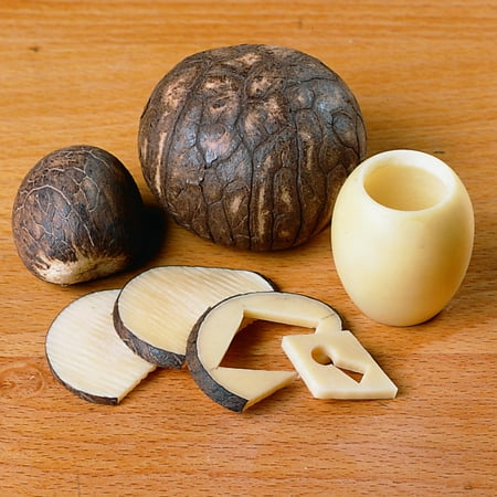 - Tagua Nuts 5-piece