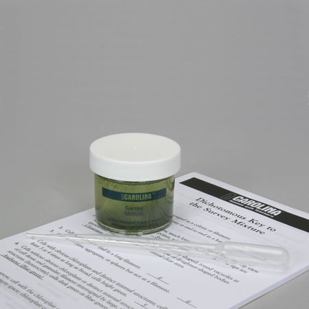 Green Algae Mixture  5 Representatives Of Green Algae price history on PriceWatchPro