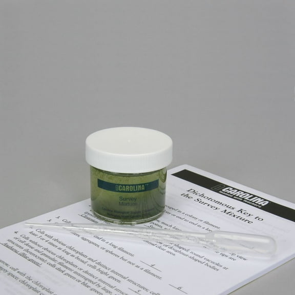 Green Algae Mixture, 5 Representatives Of Green Algae