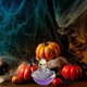 thumbnail image 4 of Juguete de fruta Fiudx con música divertida y mano de esqueleto para decoración de Halloween, 4 of 7