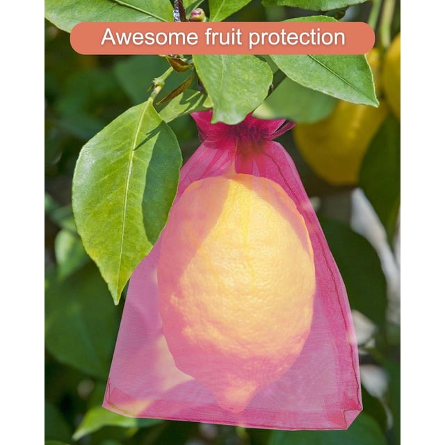100 bolsas de malla pequeñas con cordón de 3 x 4, bolsas de organza transparente con cordón para joyería, bolsas de malla para regalos de boda y fiestas para pequeñas empresas, dulces — bolsa de organza transparente sobre un fruto en un árbol, vista frontal; silueta rectangular en tamaños 8 × 10 cm, 10 × 15 cm o 13 × 18 cm (desde la abertura), organza (tela de nailon) translúcida con cordón satinado de apertura doble que se recoge en la parte superior y se puede atar en moño; adecuada para joyas pequeñas, dulces y recuerdos de fiesta.