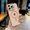 Pink, variant on Allytechgroup Magnetic Case for iPhone 12 Pro Max with Camera Lens Kickstand, Compatible with Mag-safe Hard PC Slim Lightweight Shockproof Protective Back Cover for iPhone 12 Pro Max, White