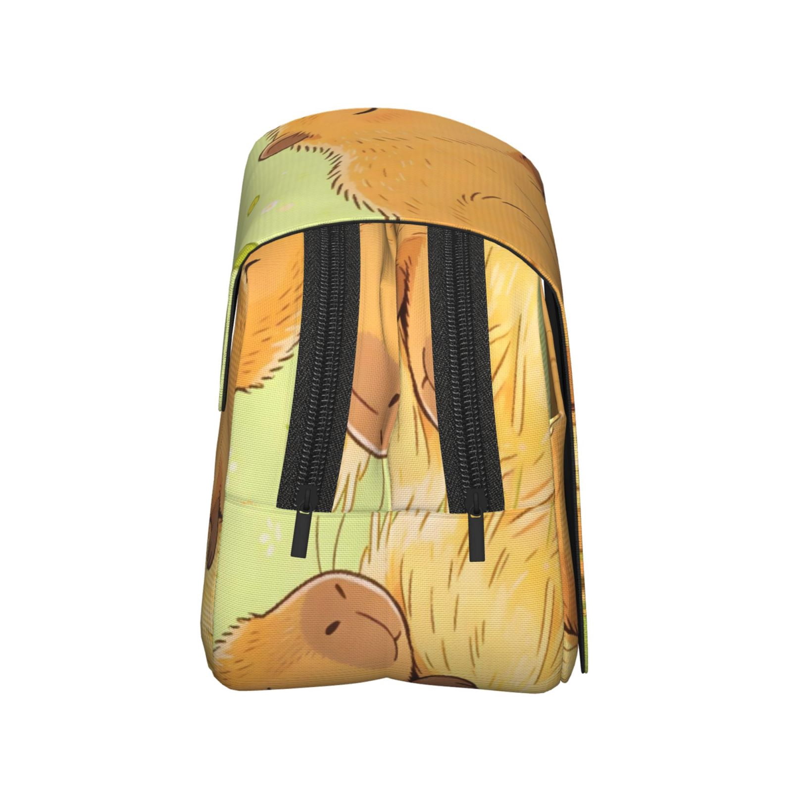 Large-Capacity Flip-Top Double-Layer Pencil Case, Multi-Functional Pocket Pen Case, Durable Stationery Organizer Sleeping Capybara