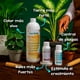 thumbnail image 2 of Kit Césped Verde - Nutrientes Escenciales Premium Para Jardin  - The Real Green, 2 of 6