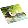thumbnail image 3 of Light Switch Cover Cartoon Underwater Sea Animal Ocean Sea Turtle 2 Gang Wall Plate Double Light Switch Plate Toggle Decorative Outlet Covers Electrical Switchplate for Bathroom Nursery Decor, 3 of 8