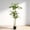 60" Artificial Dracaena Tree, variant on 98.4" Large Faux Olive Tree and Lifelike Olive Leaves and Fruit,Elegant Indoor/Outdoor Decorative Plant for Living Room,Office or Entryway,Green