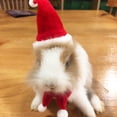thumbnail image 2 of Greeniant Mascotas conejos liebre cerdo hurón gorro de Navidad divertido disfraz hámster silenciador ropa otoño vestir accesorios de maquillaje Memoriales de mascotas Greeniant PT004583-01, 2 of 6