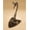 Black, variant on Skull Hooker Table Hooker Realtree Edition European Trophy Mount – Perfect Kit for Table Display of Taxidermy Deer Antlers and Other Skulls – Graphite Black (SKH-RTTH-ASSY-BLK)
