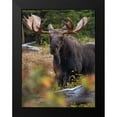 thumbnail image 2 of Fitzharris, Tim 19x24 Black Modern Framed Museum Art Print Titled - Bull moose-Glacier National Park-Montana,, 2 of 5