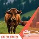 thumbnail image 1 of unbranded Cabestro Portátil Para Ganado Con Trenzada De Resistencia Para Manejo Eficiente, 1 of 8