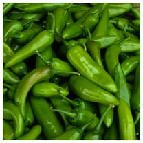 Everwilde Farms - 1/4 lb Jalapeno M Hot Pepper Seeds - Gold Vault Bulk Seed Packet