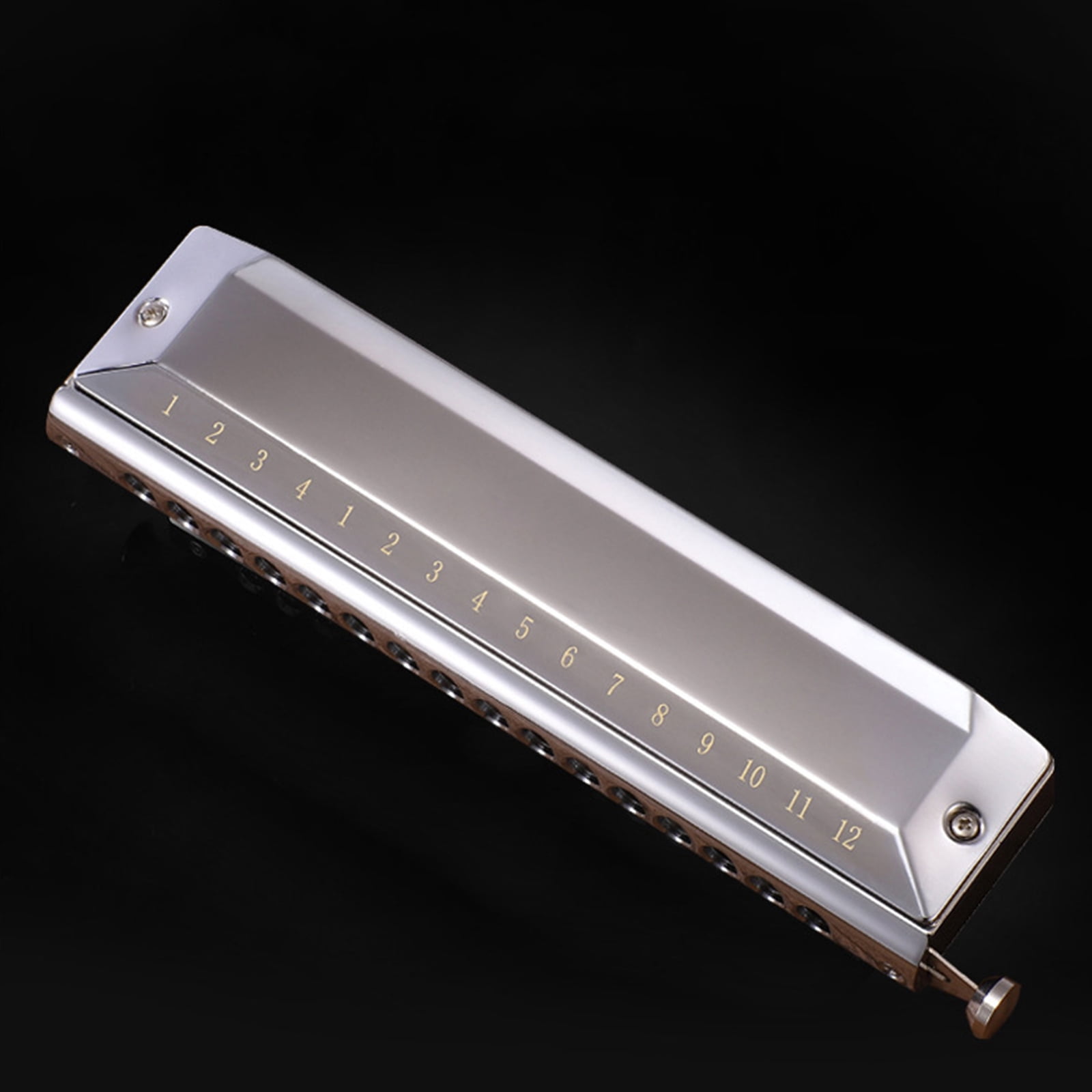 Blues Harmonica in C, 16 Holes Blues Harp Diatonic Harmonica C, Mouth Organ harmonica in C For Adults, Beginners