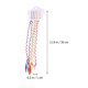 thumbnail image 4 of Bohemian Style Colorful Hair Bands Set of 3 Durable Fake Ponytail Accessories for Braids, Messy Buns, and Daily Wear, 4 of 4