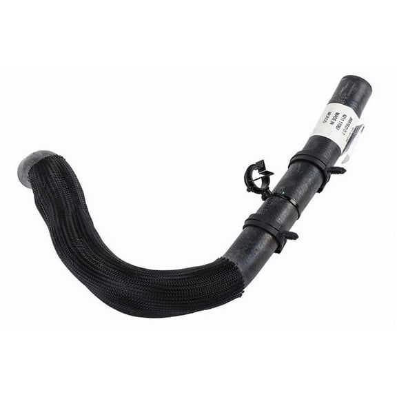 Radiator Outlet Hose