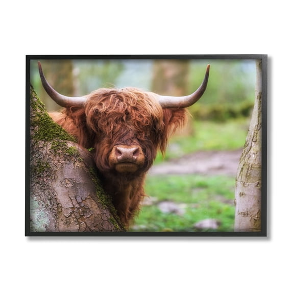 Stupell Industries Highland Cattle Peering Between Trees Lush Nature Scene Photograph Black Framed Art Print Wall Art, Design by James Dobson