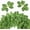 Green Leaves, variant on Artificial Flower Red Rose 25pcs Real Looking Fake Roses w/Stem for DIY Wedding Bouquets Centerpieces Arrangements Party Baby Shower Home Decorations