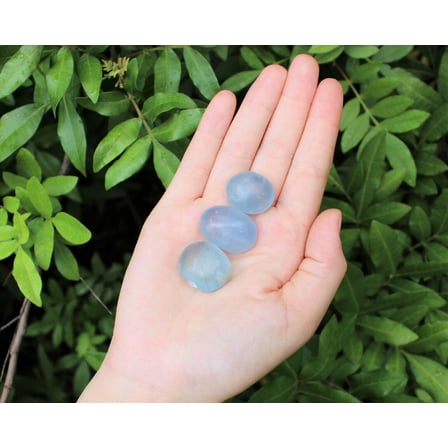 3 Medium Blue Celestite Tumbled Stones (Crystal Healing Rare Gemstone Celestine)