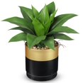 thumbnail image 1 of Planta artificial de agave Briful con hojas de 26 cm de ancho en maceta de oro negro, 1 of 6