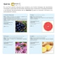 thumbnail image 4 of Vitamina C + L-Glutatión Eternal Nutrition 200 Cápsulas 770 mg, 4 of 9