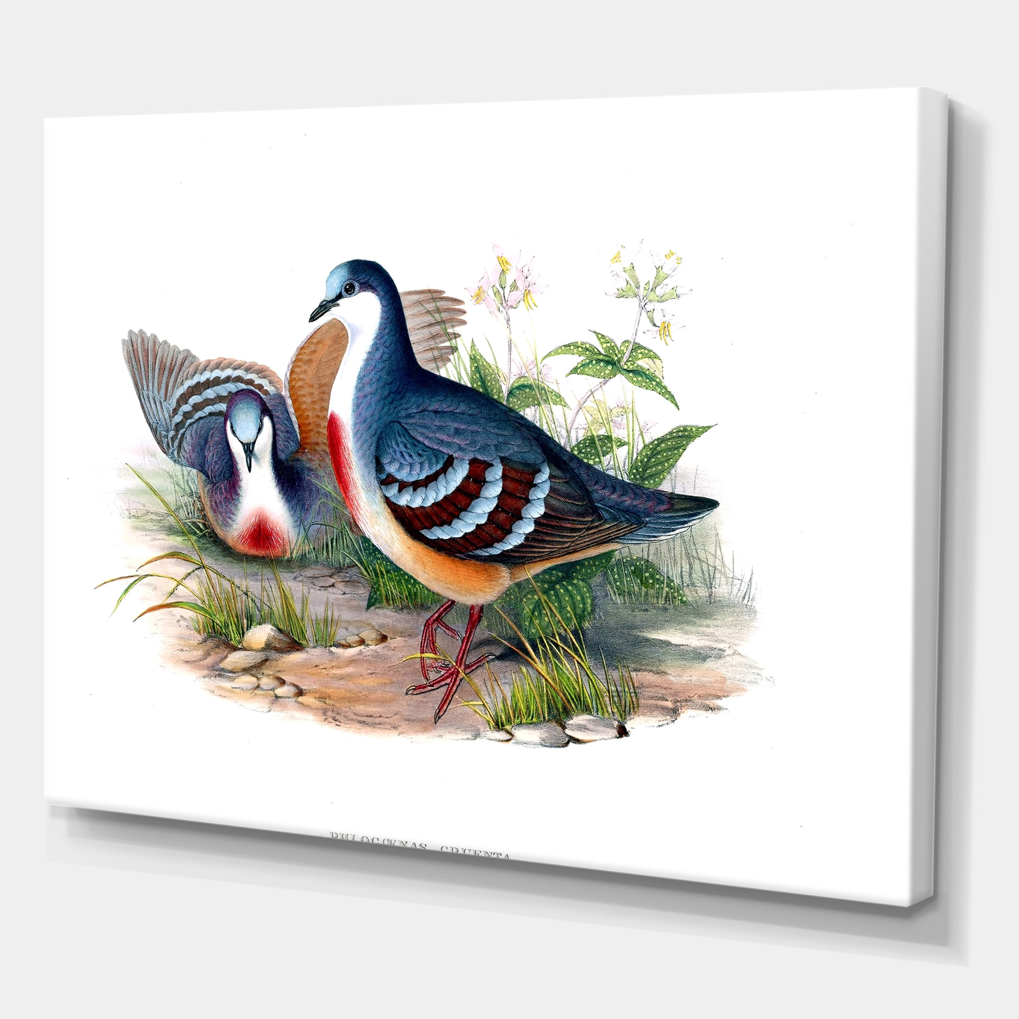 Designart ' Ancient Birds In The Wild IV ' Traditional Canvas Wall Art Print