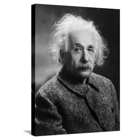 Art.com Albert Einstein Stretched Canvas Print Wall Art, 18" x 24"