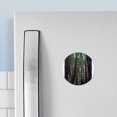 thumbnail image 3 of CafePress - Muir Woods, California Magnet - 2.25" Round Magnet, Refrigerator Magnet, Button Magnet Style, 3 of 3