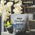 thumbnail image 6 of Harris Orchid Potting Mix, Optimal Soil Mix for All Types of Orchids, 4qt, 6 of 8