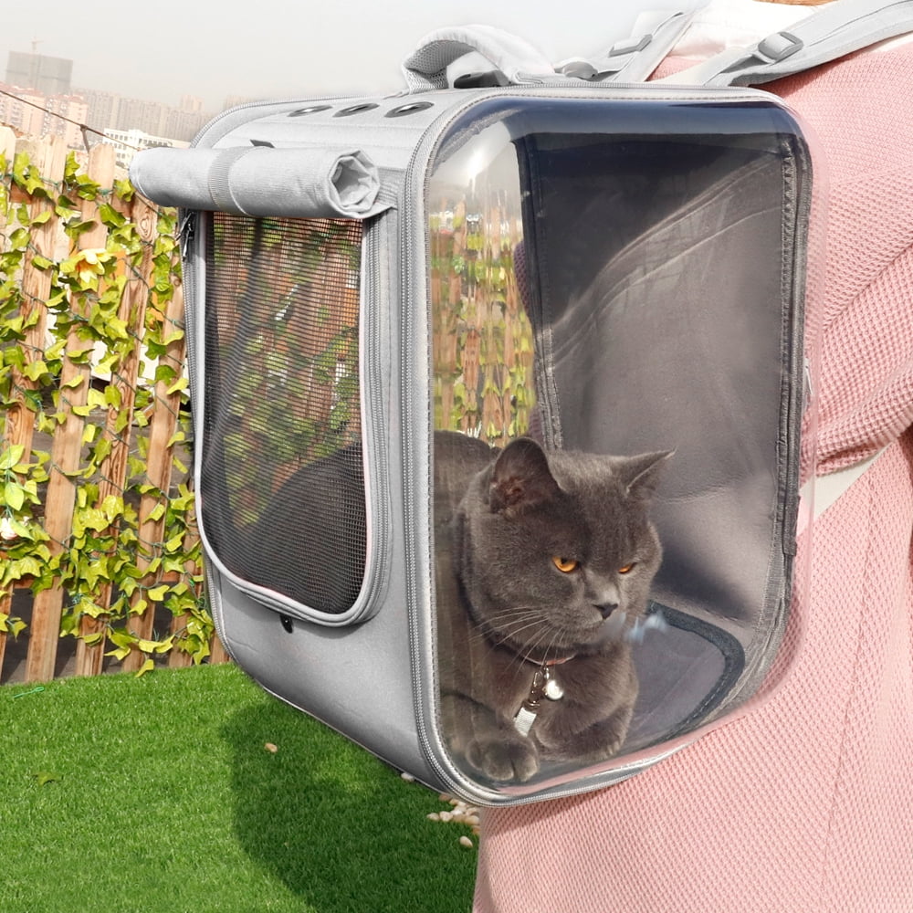 Beirui Pet Dog Cat Carrier Backpack Outdoor Travel Bag Breathable Mesh Carry Bags for Hiking Bike