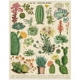 thumbnail image 4 of Cavallini Papers & Co. Cacti & Succulents 1,000 Piece Puzzle, Multi, 4 of 4
